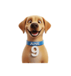 6月に使える3D犬（個別スタンプ：9）