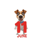 6月に使える3D犬（個別スタンプ：11）