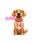 6月に使える3D犬（個別スタンプ：14）