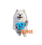 6月に使える3D犬（個別スタンプ：19）