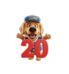 6月に使える3D犬（個別スタンプ：20）