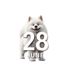 6月に使える3D犬（個別スタンプ：28）