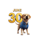6月に使える3D犬（個別スタンプ：30）