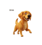 6月に使える3D犬（個別スタンプ：31）