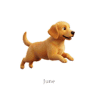6月に使える3D犬（個別スタンプ：34）