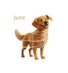 6月に使える3D犬（個別スタンプ：36）