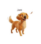 6月に使える3D犬（個別スタンプ：37）