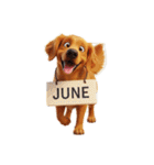 6月に使える3D犬（個別スタンプ：39）