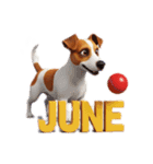 6月に使える3D犬（個別スタンプ：40）