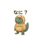 れぷてぃりあん（トゲオアガマ編）（個別スタンプ：8）