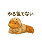 れぷてぃりあん（トゲオアガマ編）（個別スタンプ：23）