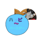 ニャンコだにゃ〜（個別スタンプ：14）