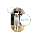 ニャンコだにゃ〜（個別スタンプ：26）