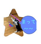 ニャンコだにゃ〜（個別スタンプ：31）