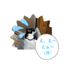 ニャンコだにゃ〜（個別スタンプ：32）