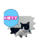 ニャンコだにゃ〜（個別スタンプ：33）