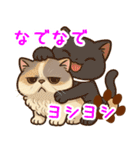 エキゾチックにかわいい猫スタンプ文字入り（個別スタンプ：2）