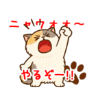 エキゾチックにかわいい猫スタンプ文字入り（個別スタンプ：3）