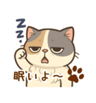 エキゾチックにかわいい猫スタンプ文字入り（個別スタンプ：4）