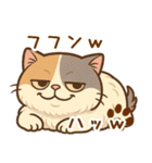 エキゾチックにかわいい猫スタンプ文字入り（個別スタンプ：5）