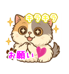 エキゾチックにかわいい猫スタンプ文字入り（個別スタンプ：6）