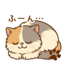 エキゾチックにかわいい猫スタンプ文字入り（個別スタンプ：7）