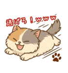 エキゾチックにかわいい猫スタンプ文字入り（個別スタンプ：8）