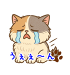 エキゾチックにかわいい猫スタンプ文字入り（個別スタンプ：9）