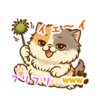 エキゾチックにかわいい猫スタンプ文字入り（個別スタンプ：10）