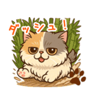 エキゾチックにかわいい猫スタンプ文字入り（個別スタンプ：11）