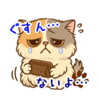 エキゾチックにかわいい猫スタンプ文字入り（個別スタンプ：12）