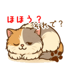 エキゾチックにかわいい猫スタンプ文字入り（個別スタンプ：14）