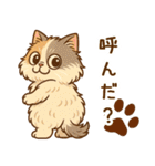 エキゾチックにかわいい猫スタンプ文字入り（個別スタンプ：15）