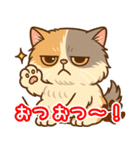 エキゾチックにかわいい猫スタンプ文字入り（個別スタンプ：17）