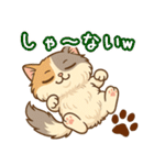 エキゾチックにかわいい猫スタンプ文字入り（個別スタンプ：19）