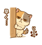 エキゾチックにかわいい猫スタンプ文字入り（個別スタンプ：20）