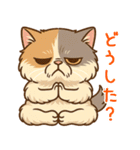 エキゾチックにかわいい猫スタンプ文字入り（個別スタンプ：22）