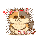 エキゾチックにかわいい猫スタンプ文字入り（個別スタンプ：24）