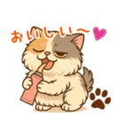 エキゾチックにかわいい猫スタンプ文字入り（個別スタンプ：25）