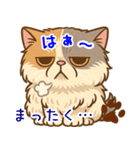 エキゾチックにかわいい猫スタンプ文字入り（個別スタンプ：26）