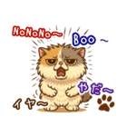 エキゾチックにかわいい猫スタンプ文字入り（個別スタンプ：28）