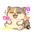 エキゾチックにかわいい猫スタンプ文字入り（個別スタンプ：30）