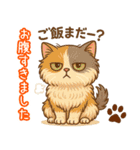 エキゾチックにかわいい猫スタンプ文字入り（個別スタンプ：31）