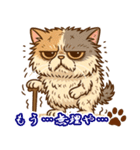 エキゾチックにかわいい猫スタンプ文字入り（個別スタンプ：33）