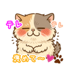 エキゾチックにかわいい猫スタンプ文字入り（個別スタンプ：35）