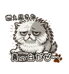 エキゾチックにかわいい猫スタンプ文字入り（個別スタンプ：36）