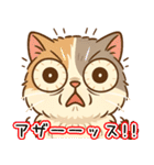 エキゾチックにかわいい猫スタンプ文字入り（個別スタンプ：40）