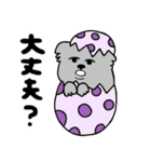 こあら ①（個別スタンプ：31）
