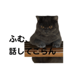 僕、ぽんすけ（個別スタンプ：8）
