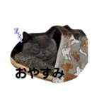 僕、ぽんすけ（個別スタンプ：18）